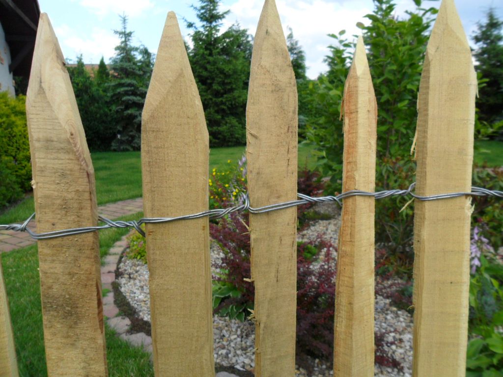 Ganivelle acacia en rouleau — fabrication française SNMB Menuiserie Bertin