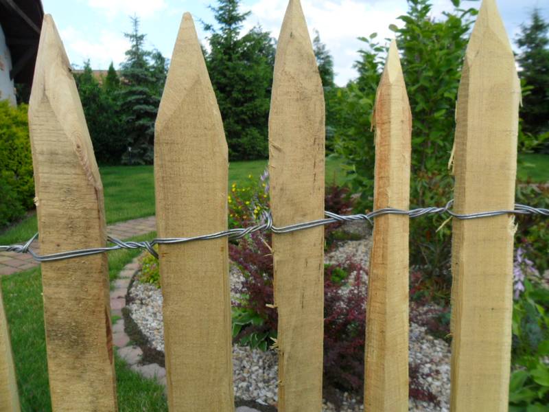 Ganivelle acacia en rouleau — fabrication française SNMB Menuiserie Bertin