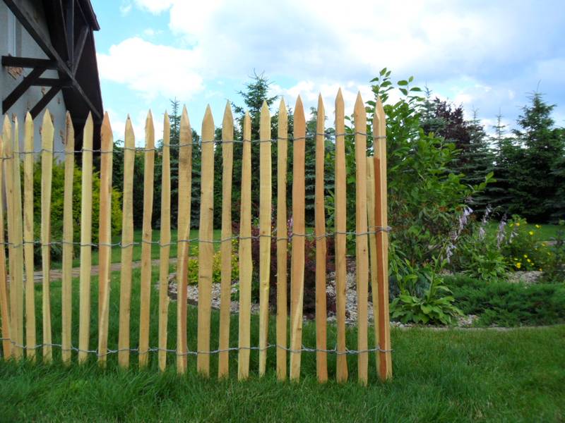 Ganivelle acacia en rouleau — fabrication française SNMB Menuiserie Bertin