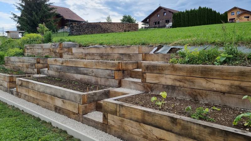 Jeunes plants de légumes dans les bacs étagés en chêne massif, fabrication française SNMB Menuiserie Bertin