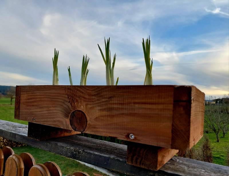 Mini jardinière en bois, fabrication française SNMB — bois autoclave classe 4