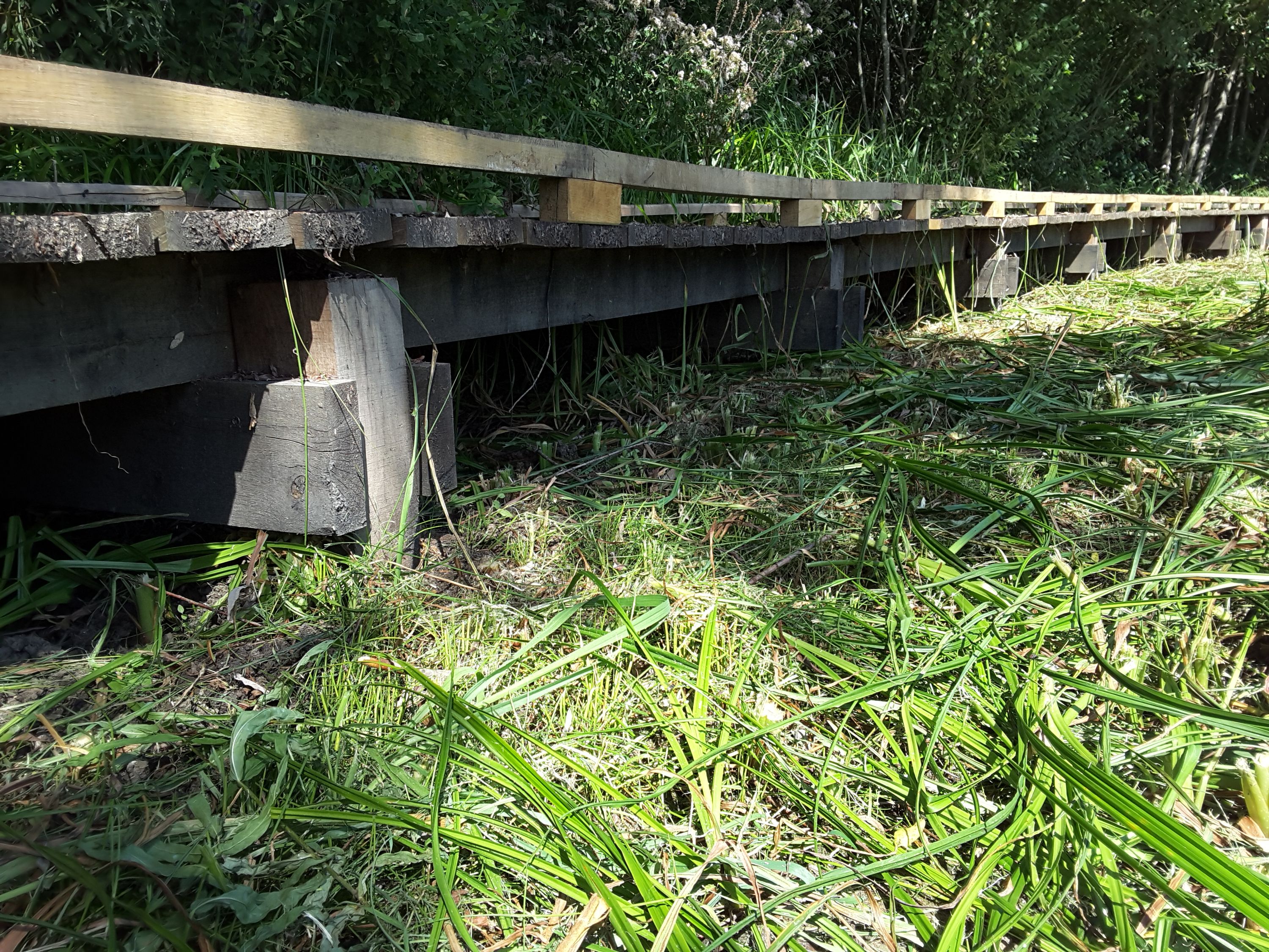 Aménagement bois de l'étang du Breuillez : mobilier et clôtures — fabrication française SNMB Menuiserie Bertin