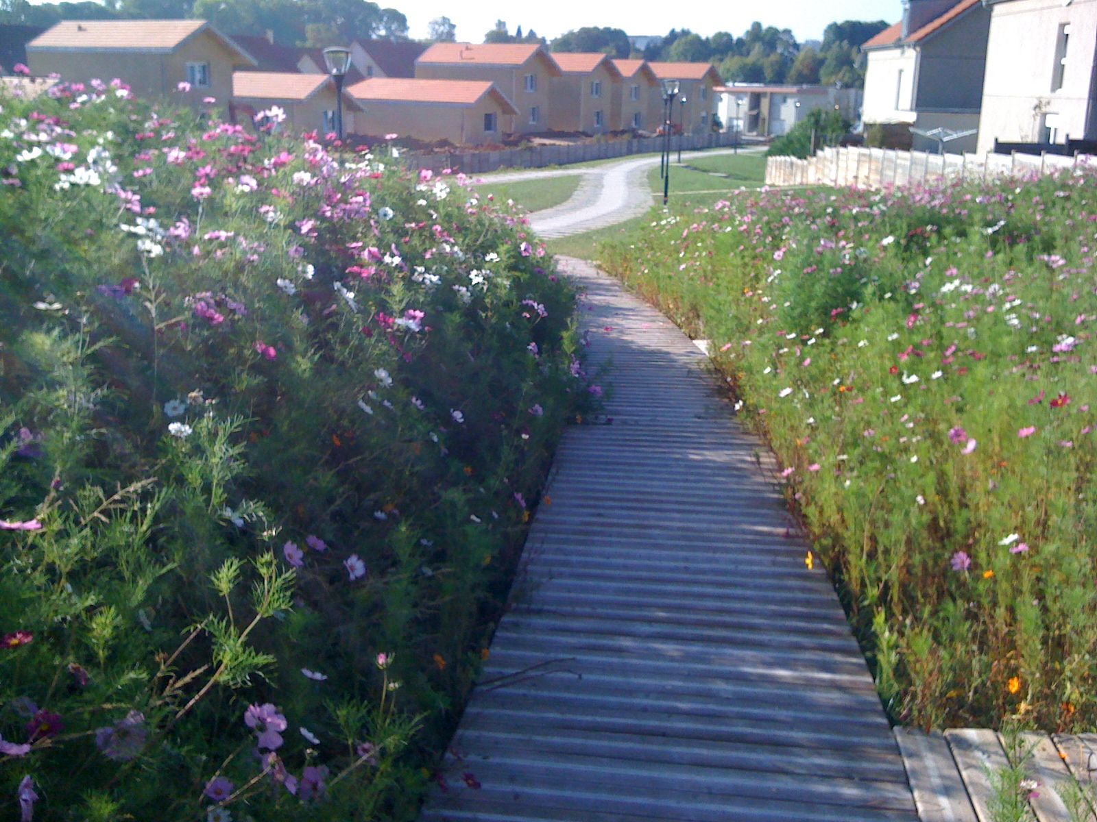 Terrasses en bois — SNMB Menuiserie Bertin