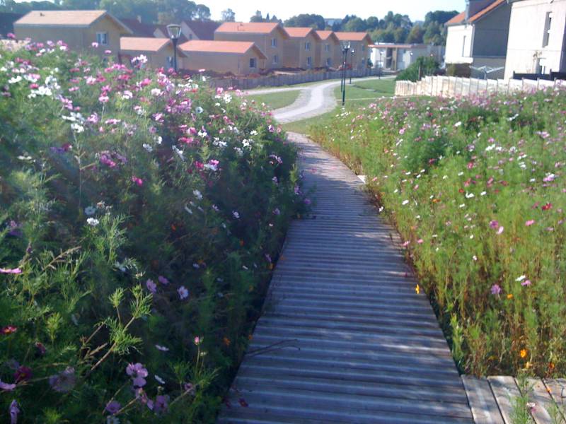 Terrasses en bois — SNMB Menuiserie Bertin